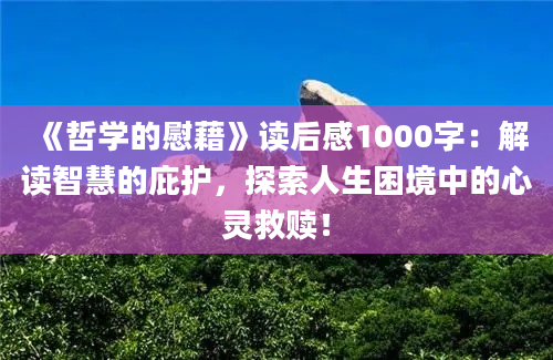 《哲学的慰藉》读后感1000字：解读智慧的庇护，探索人生困境中的心灵救赎！