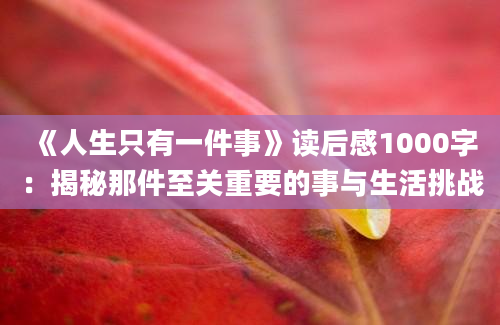 《人生只有一件事》读后感1000字：揭秘那件至关重要的事与生活挑战