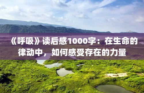 《呼吸》读后感1000字：在生命的律动中，如何感受存在的力量