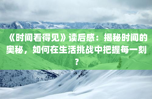 《时间看得见》读后感：揭秘时间的奥秘，如何在生活挑战中把握每一刻？