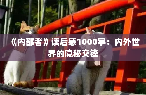 《内部者》读后感1000字：内外世界的隐秘交锋