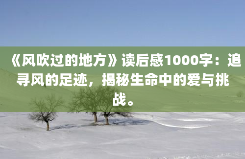 《风吹过的地方》读后感1000字：追寻风的足迹，揭秘生命中的爱与挑战。