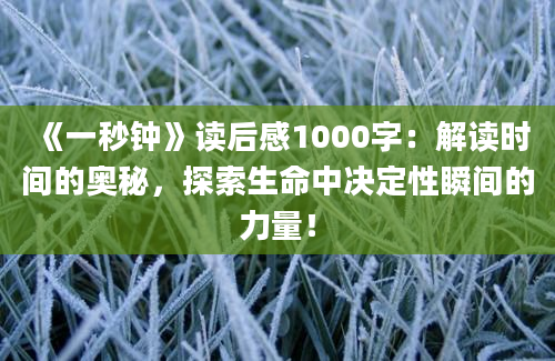 《一秒钟》读后感1000字：解读时间的奥秘，探索生命中决定性瞬间的力量！