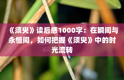 《须臾》读后感1000字：在瞬间与永恒间，如何把握《须臾》中的时光流转