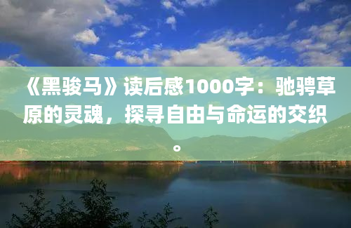 《黑骏马》读后感1000字：驰骋草原的灵魂，探寻自由与命运的交织。