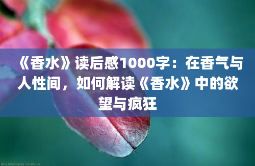 《香水》读后感1000字：在香气与人性间，如何解读《香水》中的欲望与疯狂