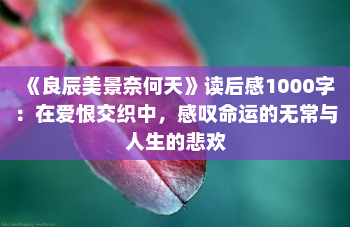 《良辰美景奈何天》读后感1000字：在爱恨交织中，感叹命运的无常与人生的悲欢