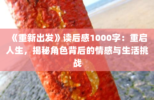 《重新出发》读后感1000字：重启人生，揭秘角色背后的情感与生活挑战