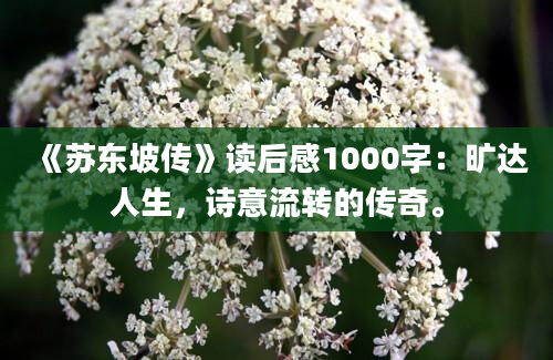 《苏东坡传》读后感1000字：旷达人生，诗意流转的传奇。