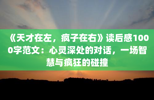 《天才在左，疯子在右》读后感1000字范文：心灵深处的对话，一场智慧与疯狂的碰撞