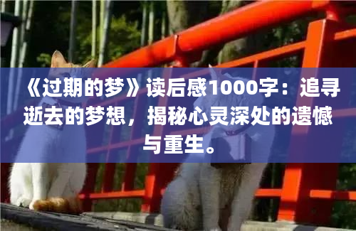 《过期的梦》读后感1000字：追寻逝去的梦想，揭秘心灵深处的遗憾与重生。