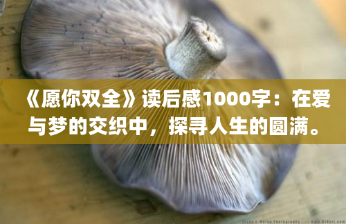 《愿你双全》读后感1000字：在爱与梦的交织中，探寻人生的圆满。