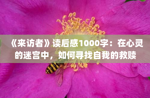 《来访者》<a href=https://www.baixuetang.com target=_blank class=infotextkey>读后感</a>1000字：在心灵的迷宫中，如何寻找自我的救赎