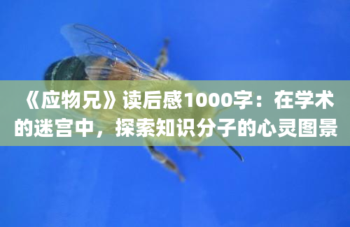 《应物兄》读后感1000字：在学术的迷宫中，探索知识分子的心灵图景