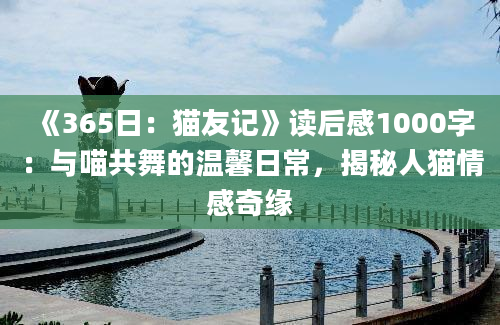 《365日：猫友记》读后感1000字：与喵共舞的温馨日常，揭秘人猫情感奇缘