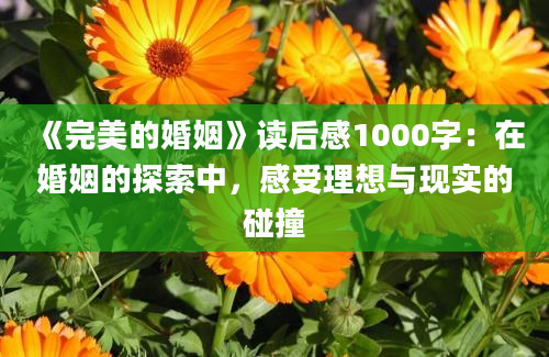 《完美的婚姻》读后感1000字：在婚姻的探索中，感受理想与现实的碰撞