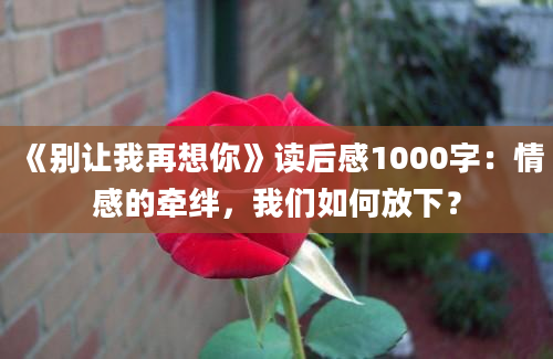 《别让我再想你》读后感1000字：情感的牵绊，我们如何放下？