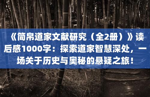 《简帛道家文献研究（全2册）》读后感1000字：探索道家智慧深处，一场关于历史与奥秘的悬疑之旅！