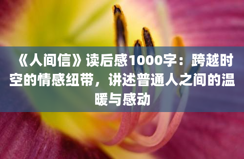 《人间信》读后感1000字：跨越时空的情感纽带，讲述普通人之间的温暖与感动