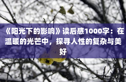 《阳光下的影响》读后感1000字：在温暖的光芒中，探寻人性的复杂与美好