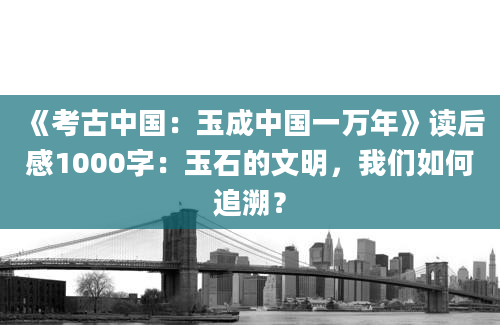 《考古中国：玉成中国一万年》读后感1000字：玉石的文明，我们如何追溯？