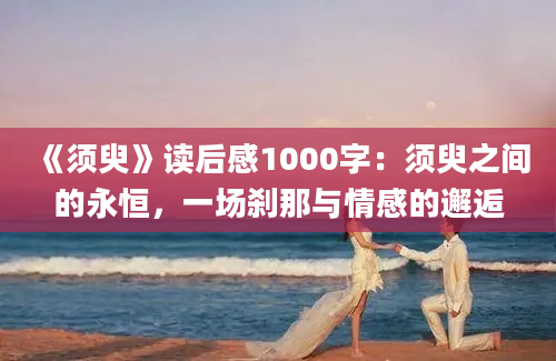 《须臾》读后感1000字：须臾之间的永恒，一场刹那与情感的邂逅