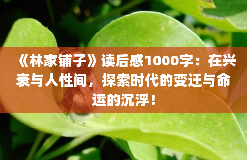 《林家铺子》读后感1000字：在兴衰与人性间，探索时代的变迁与命运的沉浮！