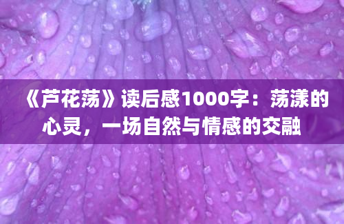 《芦花荡》读后感1000字：荡漾的心灵，一场自然与情感的交融