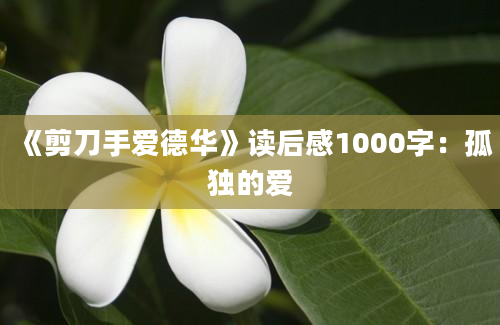 《剪刀手爱德华》读后感1000字：孤独的爱