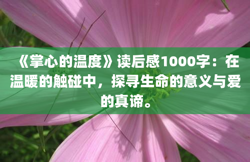 《掌心的温度》读后感1000字：在温暖的触碰中，探寻生命的意义与爱的真谛。