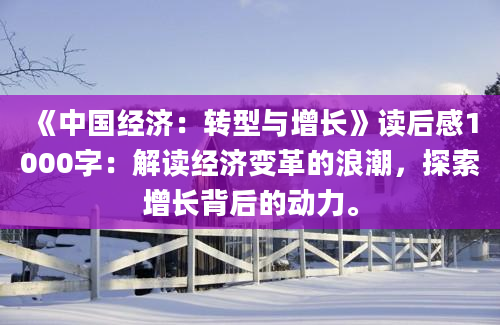 《中国经济：转型与增长》读后感1000字：解读经济变革的浪潮，探索增长背后的动力。