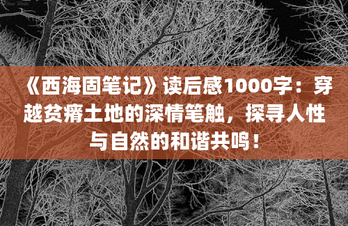 《西海固笔记》读后感1000字：穿越贫瘠土地的深情笔触，探寻人性与自然的和谐共鸣！