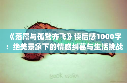 《落霞与孤鹜齐飞》读后感1000字：绝美景象下的情感纠葛与生活挑战