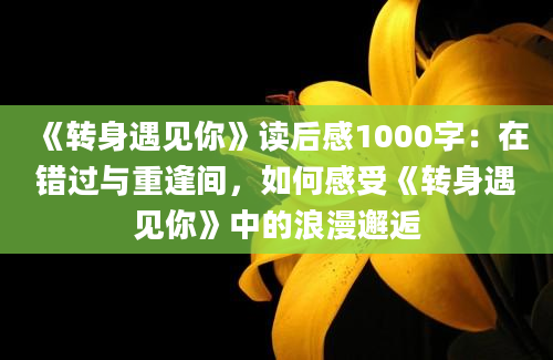 《转身遇见你》读后感1000字：在错过与重逢间，如何感受《转身遇见你》中的浪漫邂逅