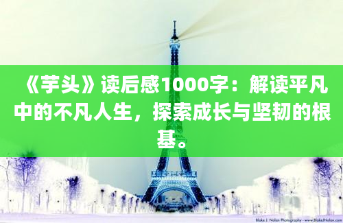 《芋头》读后感1000字：解读平凡中的不凡人生，探索成长与坚韧的根基。