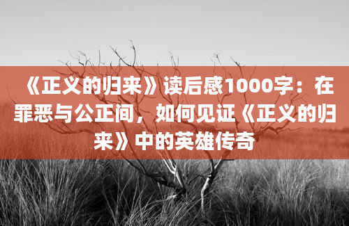 《正义的归来》读后感1000字：在罪恶与公正间，如何见证《正义的归来》中的英雄传奇