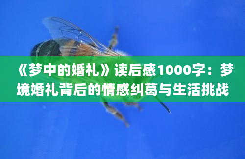 《梦中的婚礼》读后感1000字：梦境婚礼背后的情感纠葛与生活挑战