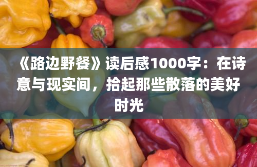 《路边野餐》读后感1000字：在诗意与现实间，拾起那些散落的美好时光