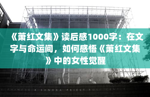 《萧红文集》读后感1000字：在文字与命运间，如何感悟《萧红文集》中的女性觉醒