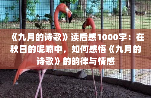 《九月的诗歌》读后感1000字：在秋日的呢喃中，如何感悟《九月的诗歌》的韵律与情感